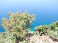 Mallorca 061
